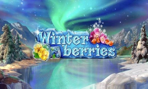  Winter Berries